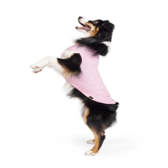 Sun Shield UV Protection Tee Shirts for Dogs and Cats - Pink Lemonade Color, Lightweight Pet Sun Shirt for Outdoor Adventures, Beach, and Park Walks