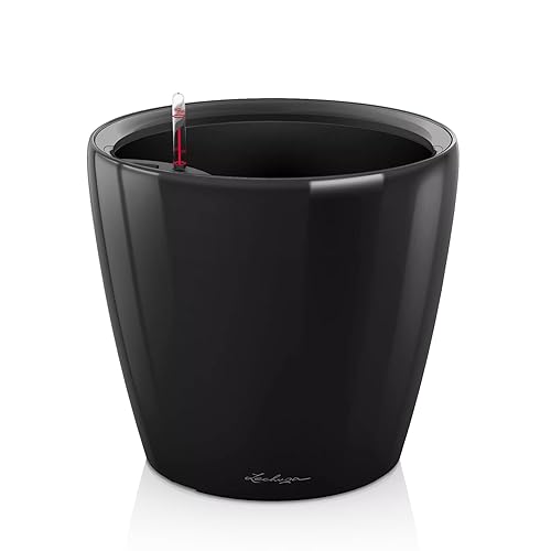 Black High-gloss
