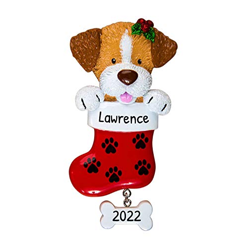Dog in Paw Stocking