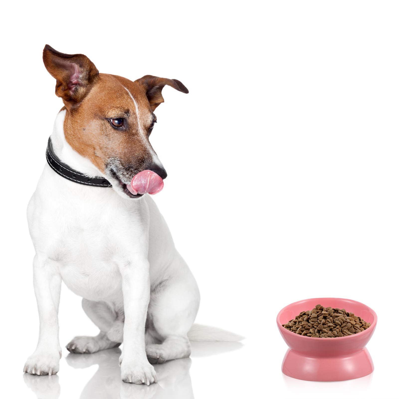 Raised Cat and Dog Bowl with Stand - Ceramic Pet Feeder for Flat-Faced Breeds, Kitten Bowls with Neck Guard - Perfect for Cats, Dogs, and Small Pets at Home or Travel Use