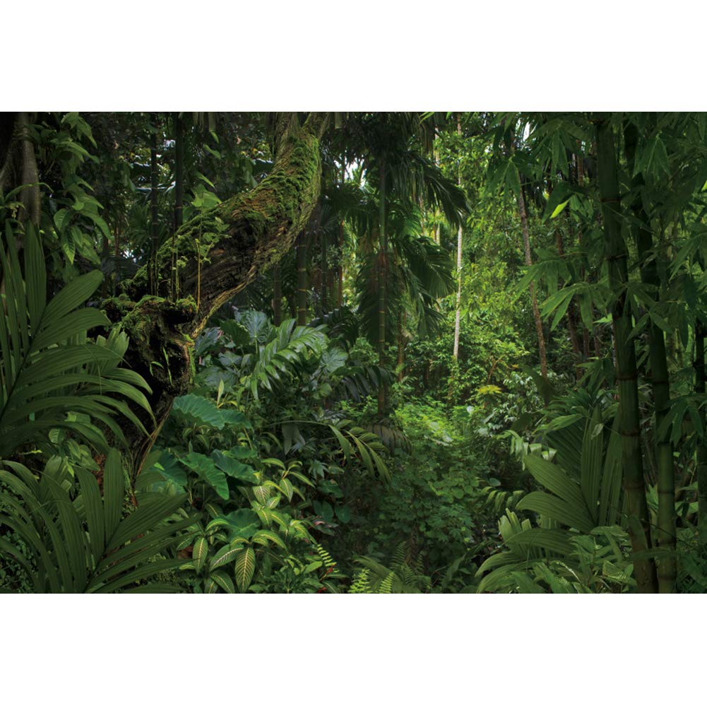 8x6ft Jungle Forest Photography Backdrop - Premium Outdoor Camping Theme Party Background, Mysterious Rainforest Scenery for Kids & Adults - Perfect for Wedding, Studio Props, Birthday Parties & Nature-Themed Events