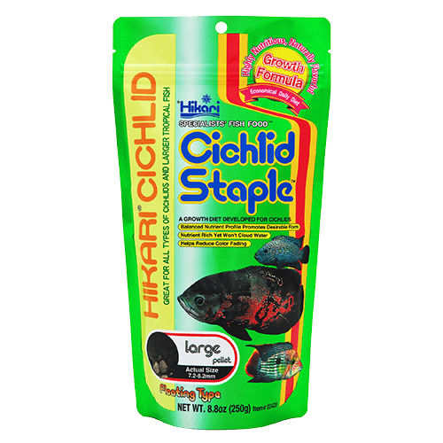 Hikari Cichlid Staple Floating Pellet Fish Food - Premium Nutrition for African & American Cichlids - Ideal for Aquarium, Pond & Tropical Fish Tanks