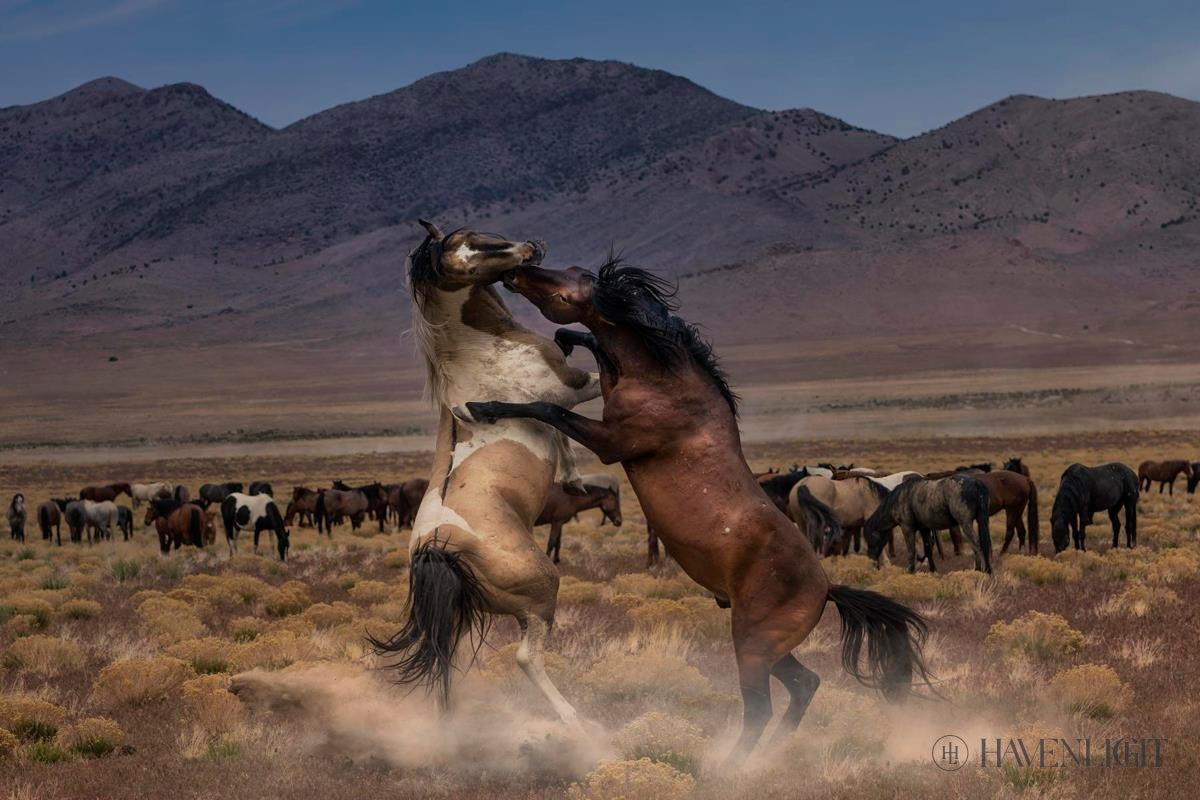 Desert Duel by Greg Sargent - Western Novel, Adventure & Action Book - Perfect for Fans of Cowboy Stories and Wild West Tales | Great for Reading on Road Trips, Camping & Relaxation