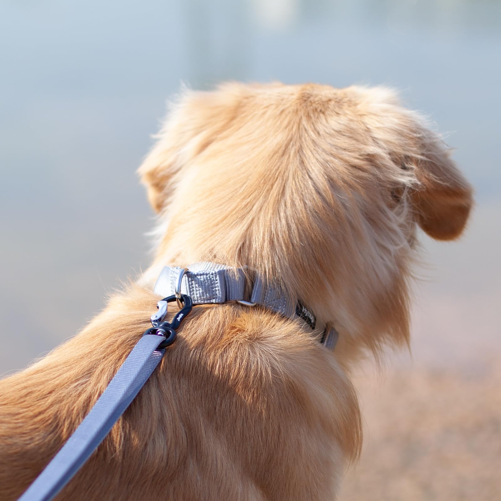 Hyhug Pets Premium Heavy Duty Nylon Martingale Dog Collar - Anti-Escape Training Collar for Medium Dogs, Comfortable & Safe for Daily Walks (Medium, Sleet Gray) - Perfect for Obedience Training and Secure Outdoor Adventures