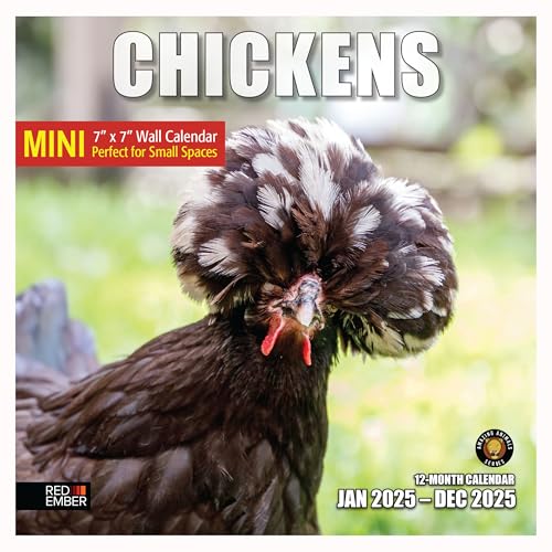 07 - Chickens
