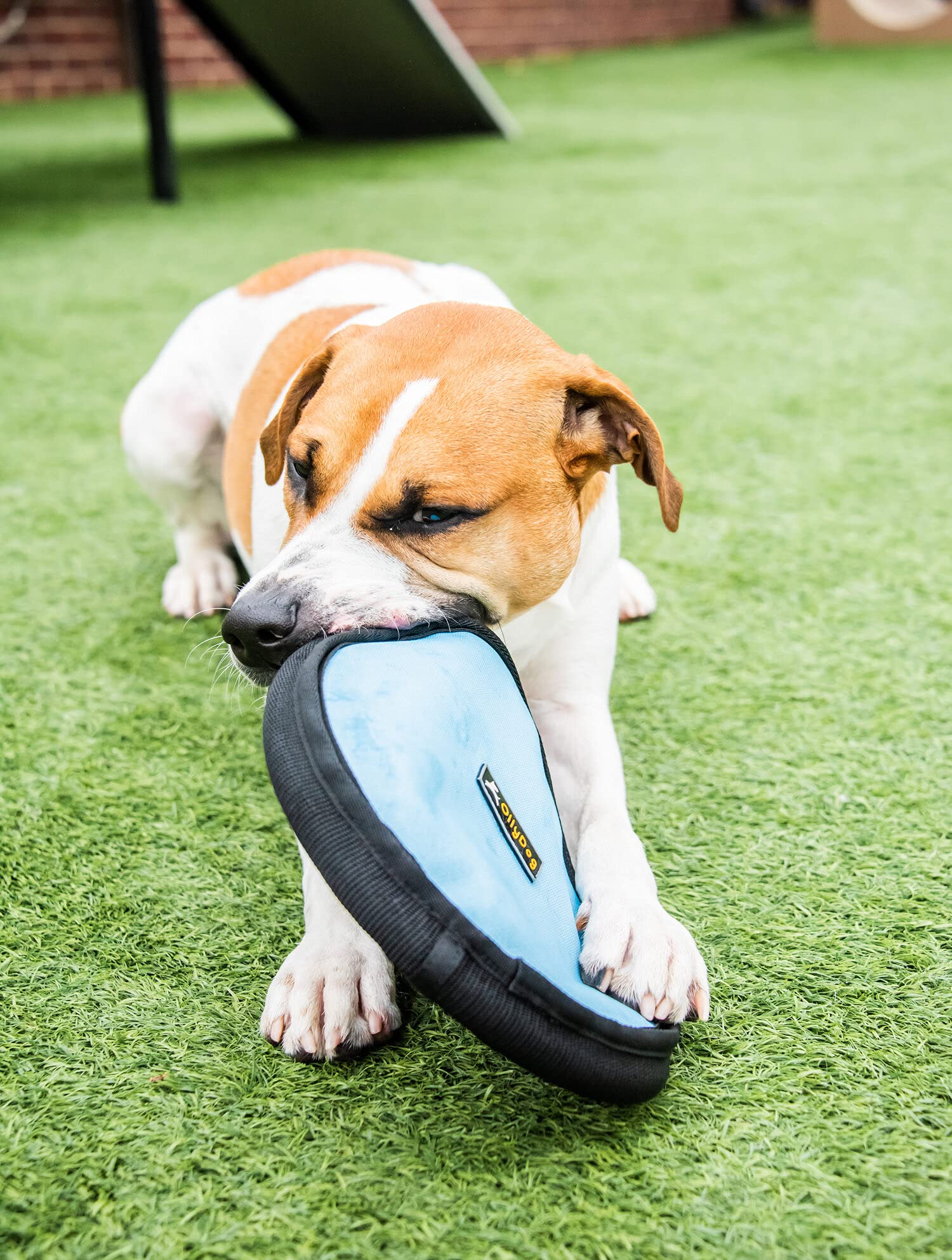 OllyDog Flyer Disc - Soft & Durable Eco-Friendly Dog Frisbee for Outdoor Play | Gentle on Teeth, Floats in Water | Perfect for Beach, Park & Backyard Fetch Games | Recycled Material Woodland Camo Design