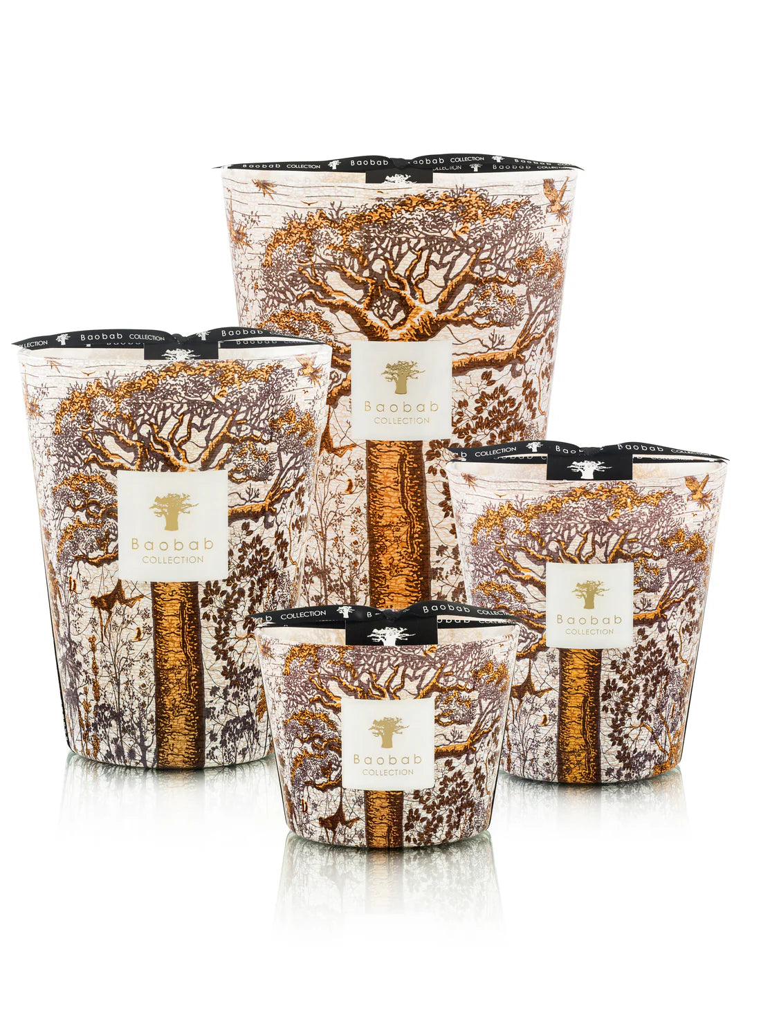 Baobab Sacred Trees Dualla - Premium Natural Home Decor for Living Room, Bedroom & Office | Eco-Friendly Handmade African Art
