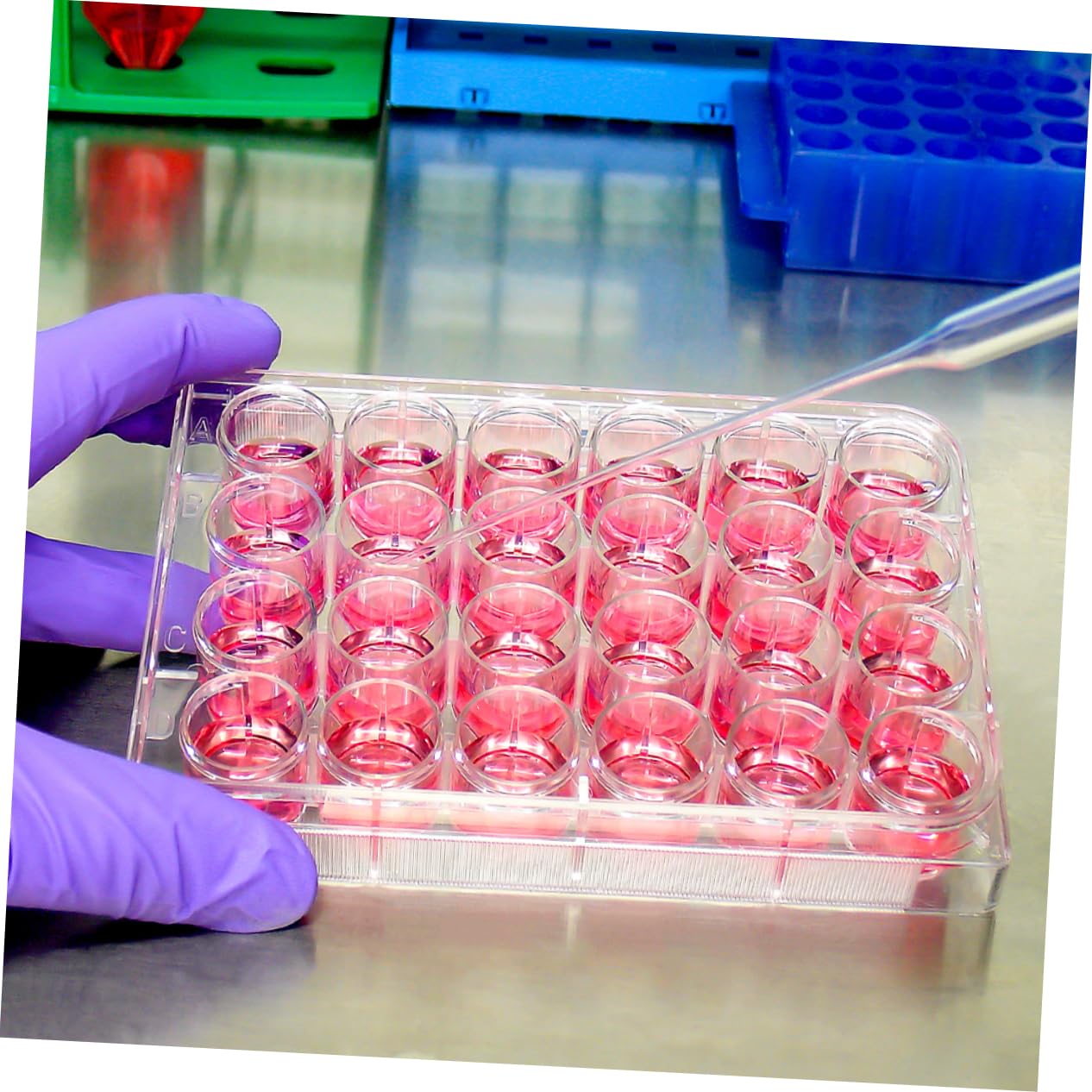 4Pcs Polystyrene Petri Dishes - Lab Cell Culture Plates for Microbiology & Chemistry Experiments
