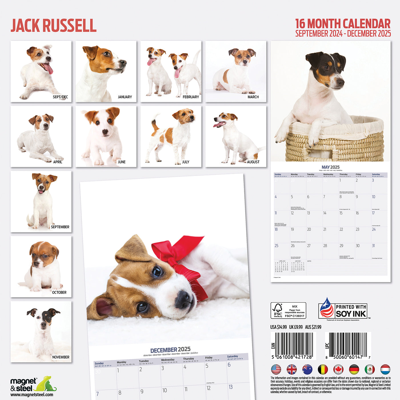 2025 Jack Russell Terrier Wall Calendar - Modern Dog Lover's Planner for Home, Office & Gifts | Monthly Pet Theme Design