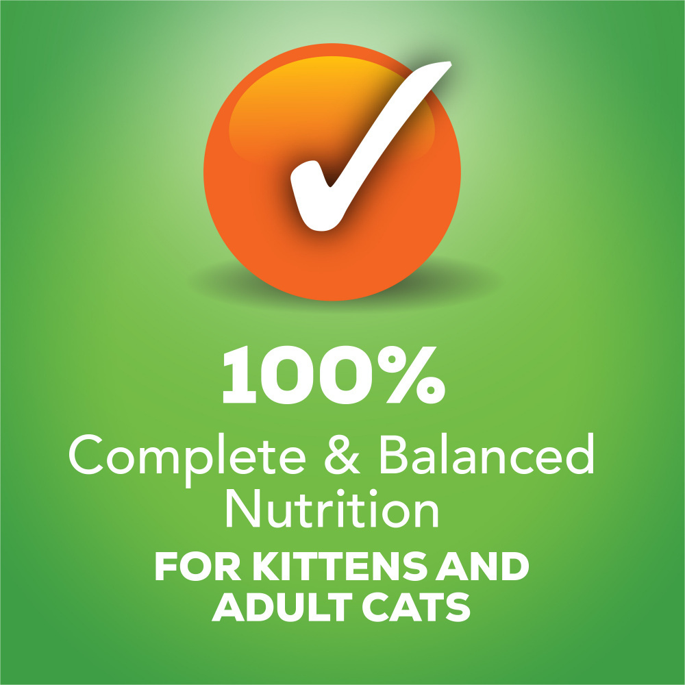 Friskies Classic Pate Variety Pack Canned Cat Food - Wet Cat Food for Adult Cats - 12 Pack Assorted Flavors - Perfect for Daily Meals & Picky Eaters