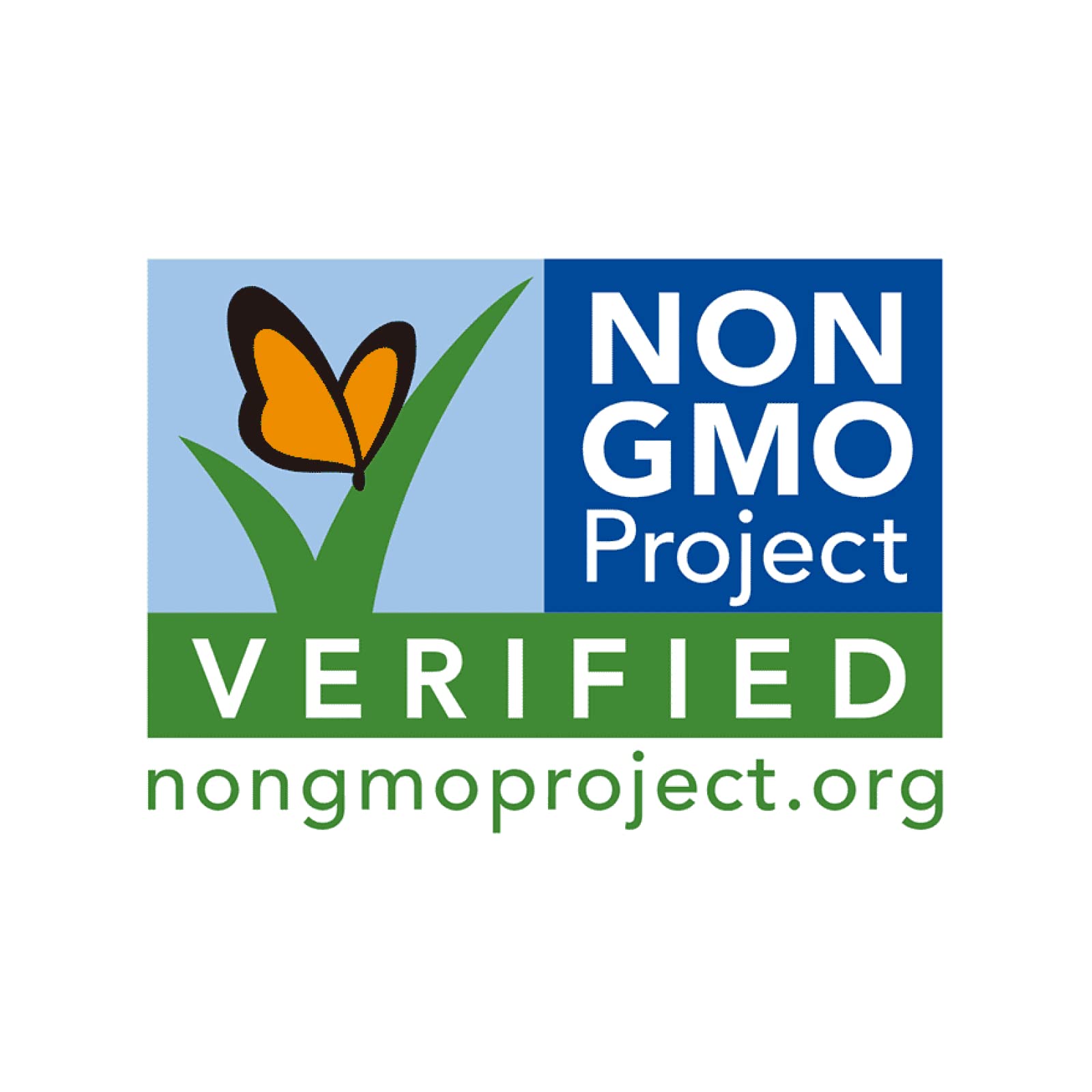 Organic Yellow Corn - USDA Certified, Non-GMO, Vegan - Farmer Direct from Michigan - 50 lb Bulk Bag - Perfect for Cornmeal, Tortillas & Healthy Recipes - Findlay's Organics