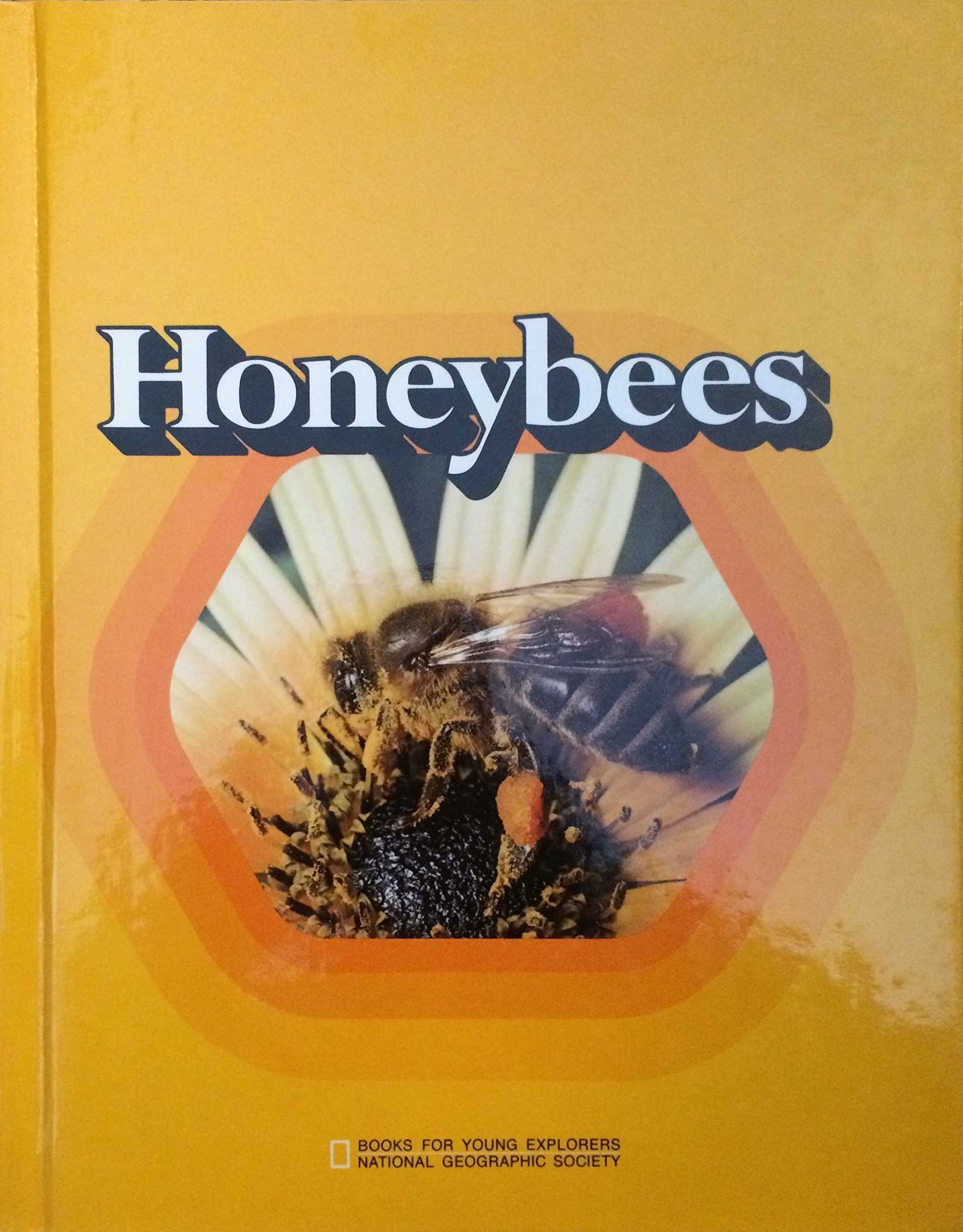 Honeybees Book for Kids - Educational Children's Book About Bees | Perfect for Young Explorers & Nature Lovers | Great for Classroom Learning & Bedtime Stories