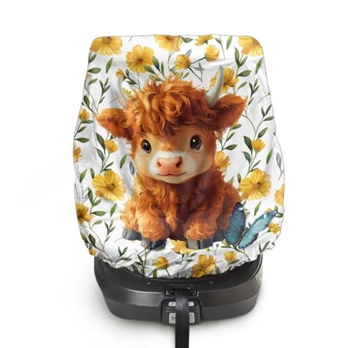 Highland Cow