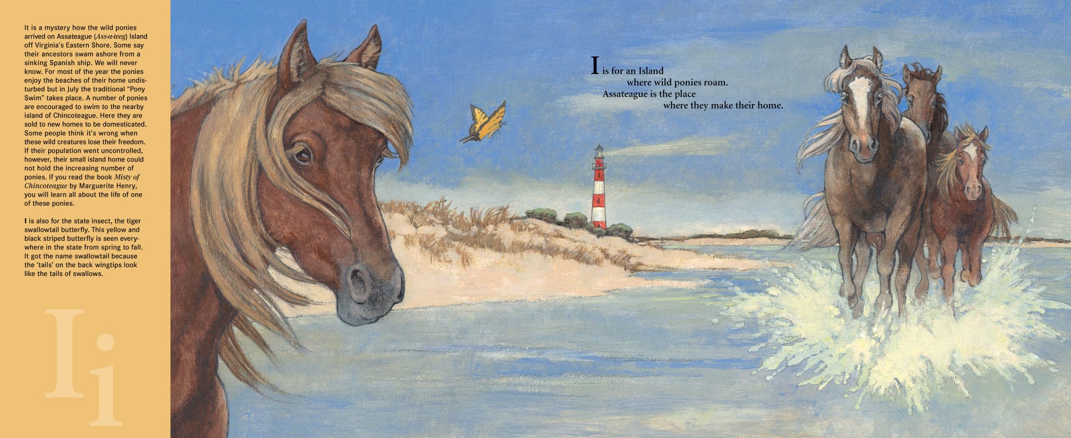 O is for Old Dominion: A Virginia Alphabet Book - Discover America State by State | Educational Children's Book About Virginia History & Culture | Perfect for Homeschooling & Classroom Learning