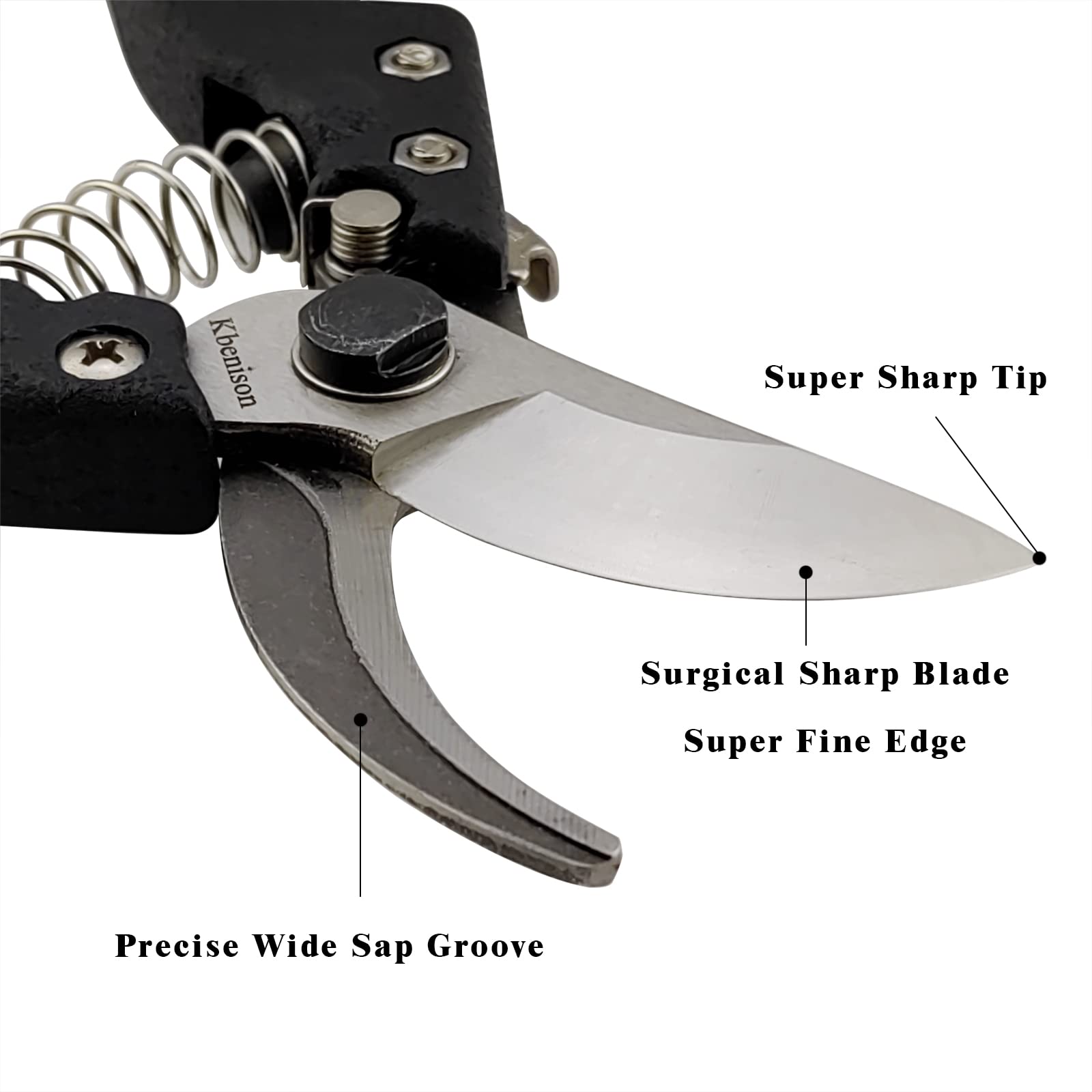 Sharp 8