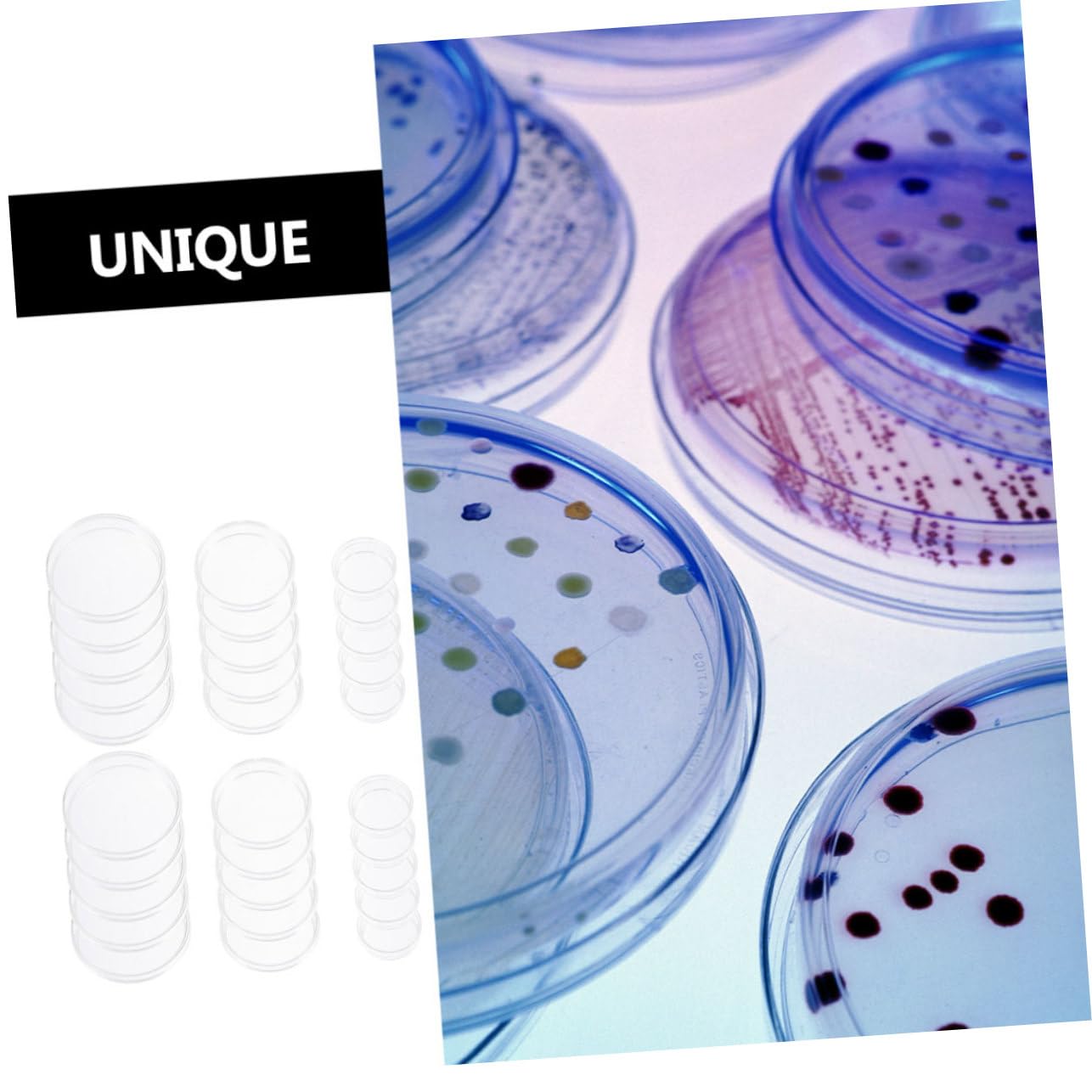 30pcs Plastic Petri Dishes for Cell Culture, Tissue Culture, and Lab Experiments - Ideal for Microbiology, Biology Labs, and Scientific Research