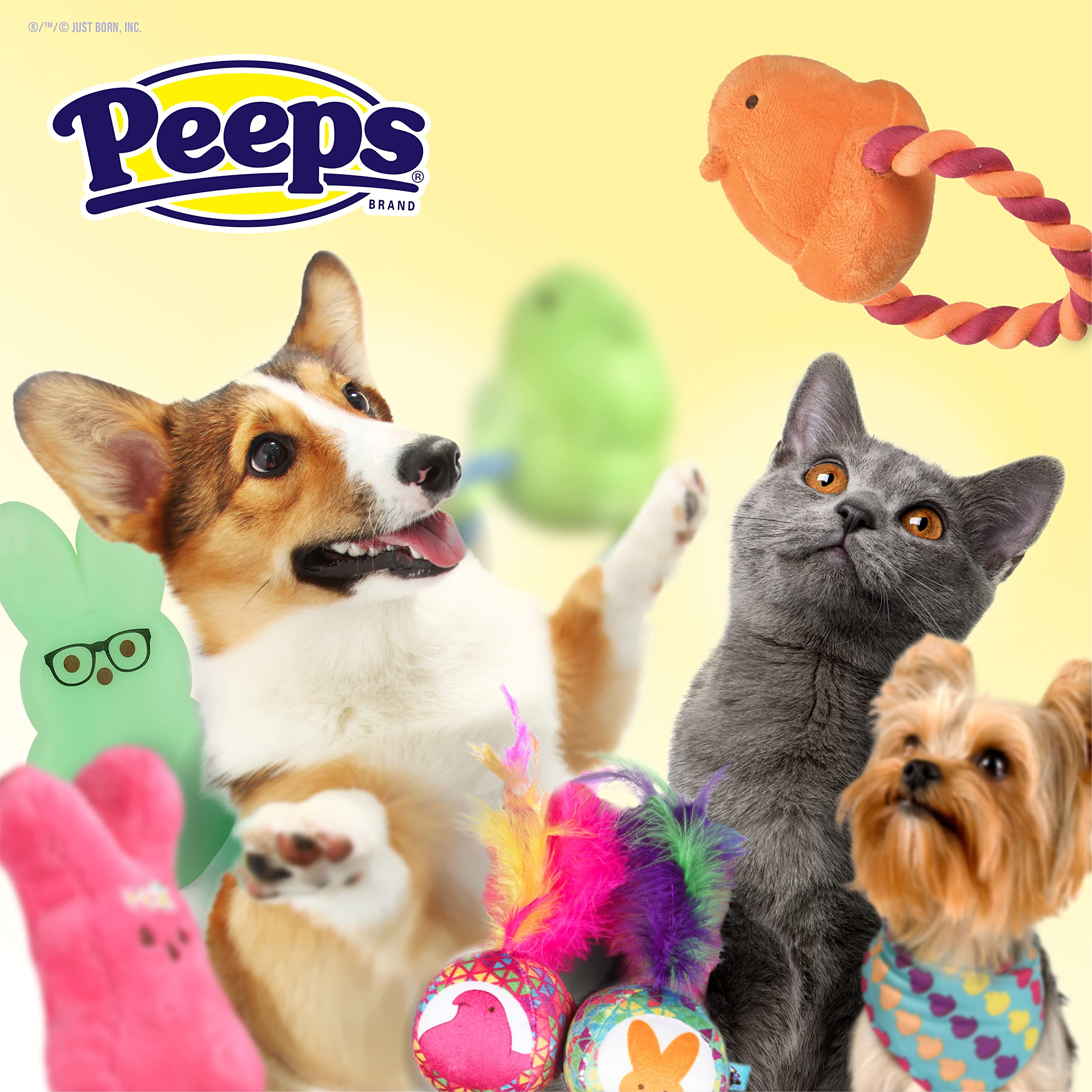 Peeps for Pets Call My Peeps Dog T-Shirt - Soft & Comfortable Teal Blue Pet Shirt | Machine Washable Dog Clothing | Officially Licensed Peeps Pet Apparel | Perfect for Playdates, Pet Parties & Photo Shoots