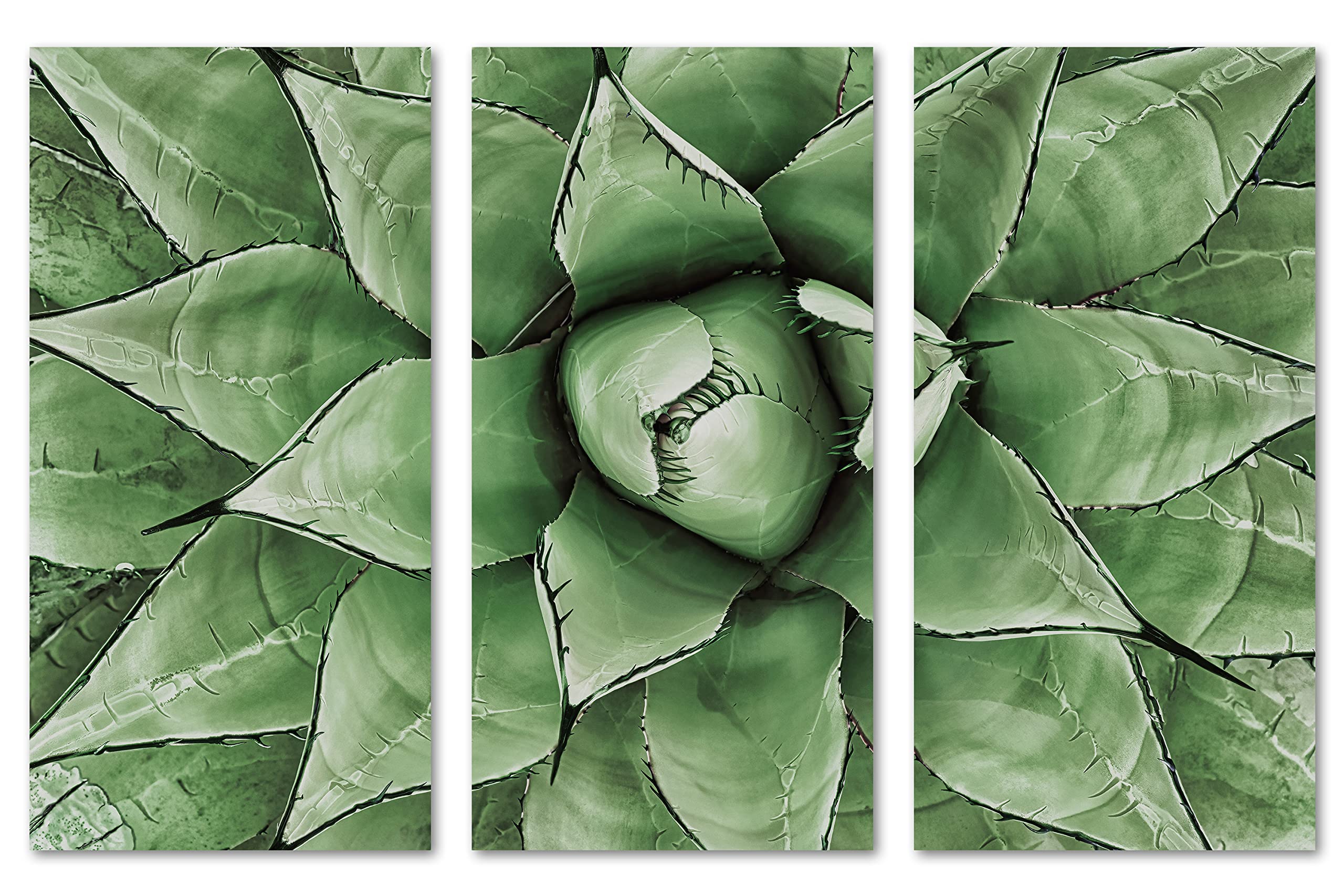 48x32 Inch Green Agave Canvas Print Wall Art - 3 Panel Split Botanical Decor for Living Room, Bedroom & Office | Agave Plant Artwork for Modern Home Decor