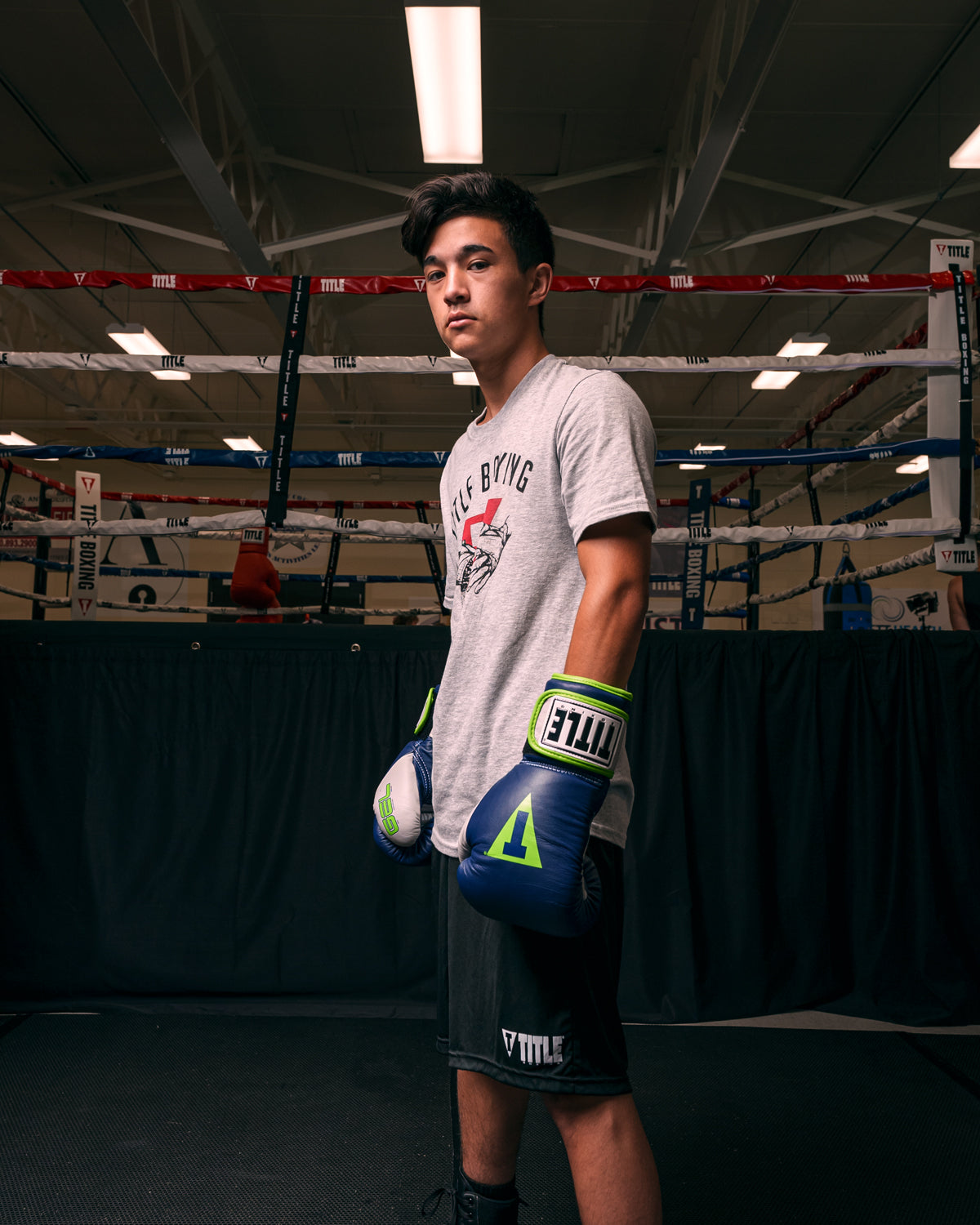 TITLE Boxing Gel World V2T Bag Boxing Gloves - Premium Training Gloves for Punching Bag, MMA, Muay Thai & Fitness Workouts - Ideal for Boxing Training, Sparring & Heavy Bag Practice