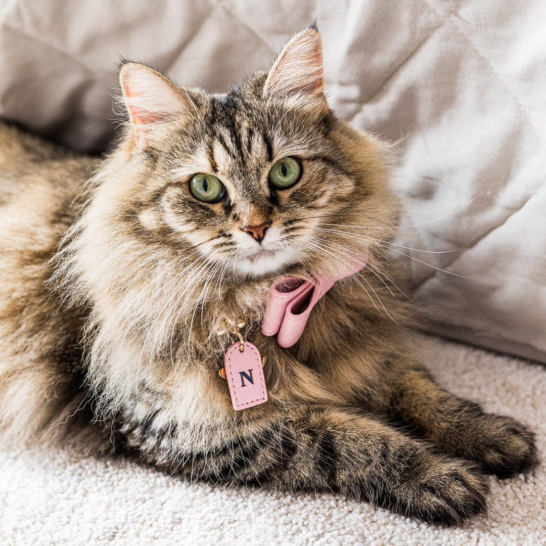 Pink Leather Cat Bow Tie - Stylish Pet Accessory for Cats - Perfect for Parties, Photos & Special Occasions