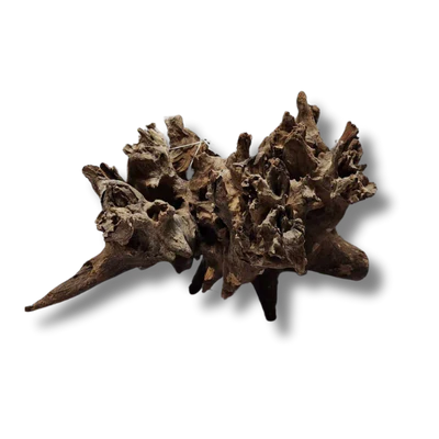 Natural Coral Wood Small Decorative Pieces 10-15cm - Perfect for Home Decor, Aquariums, and DIY Crafts