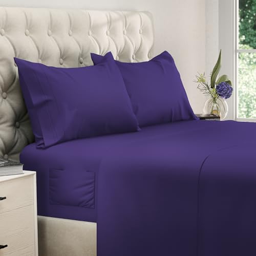 08 - Purple