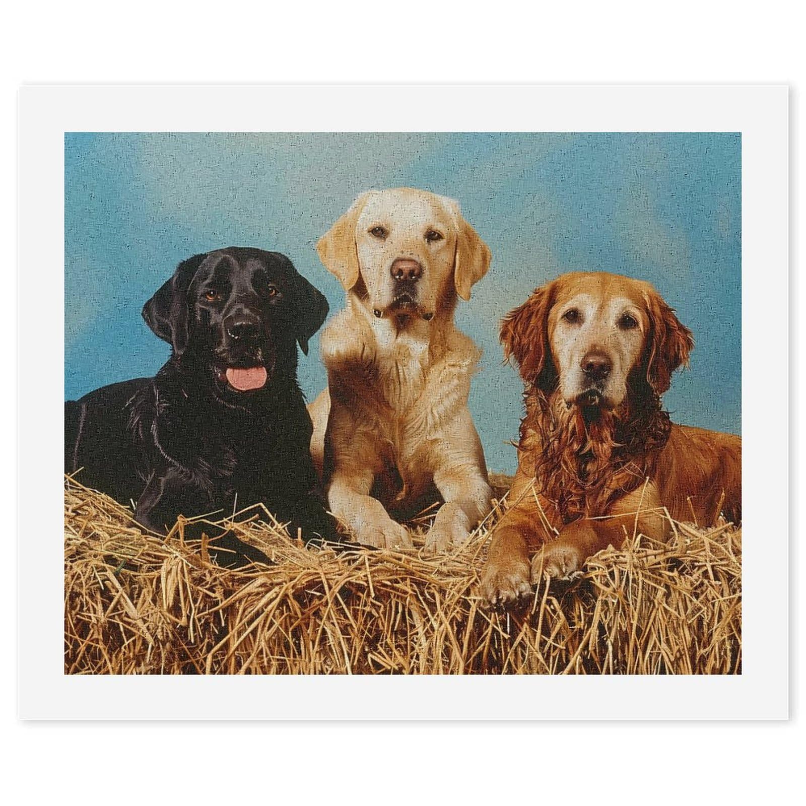 Labrador Retriever Paint by Numbers Kit for Adults - DIY Oil Painting on 22x18 Inch Canvas - Fun Dog Art for Home Decor & Gift Ideas - Perfect for Relaxation & Wall Art in Living Room, Bedroom