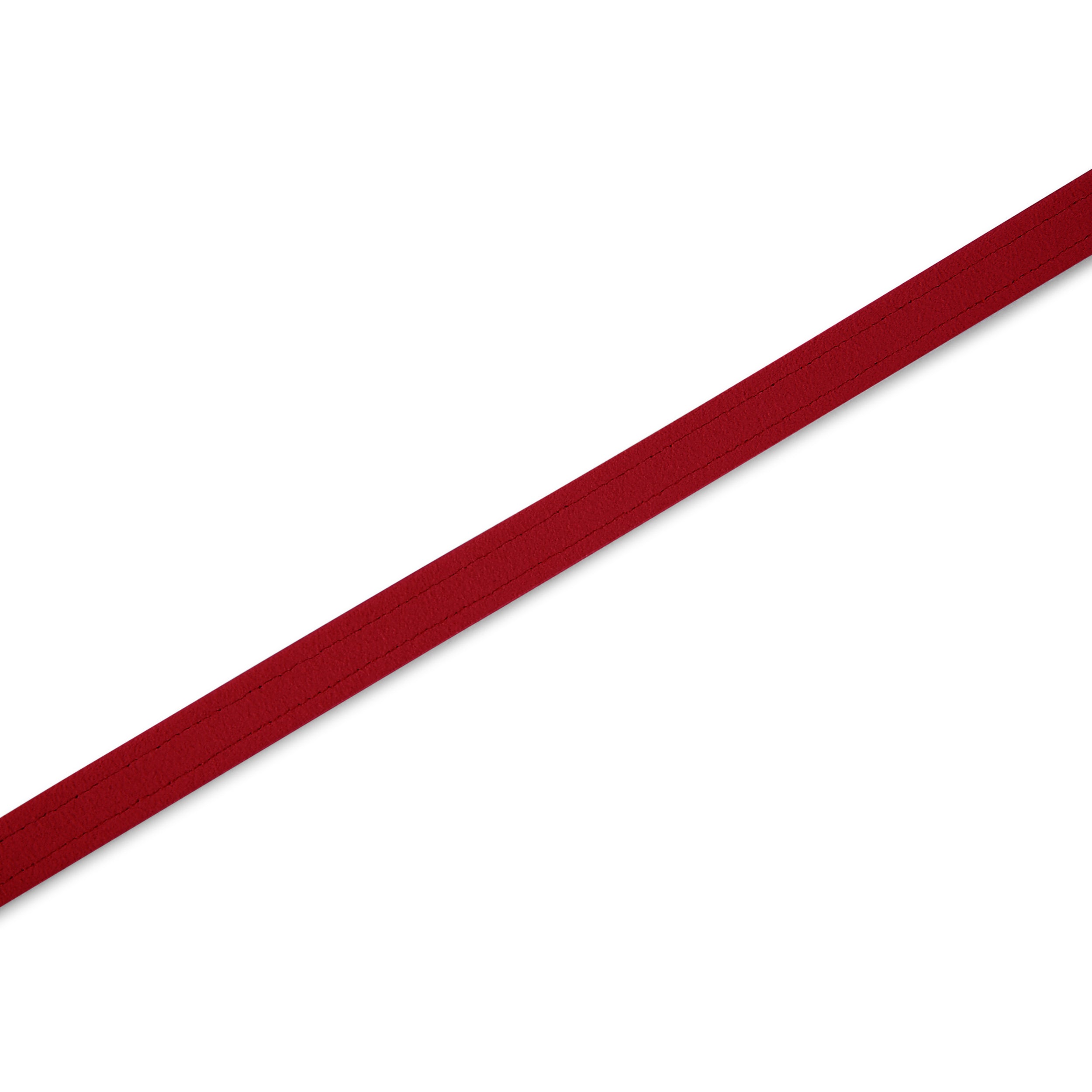 Premium Matching Plain Dog Leash - Durable Nylon Pet Leash for Small Medium Large Dogs - Perfect for Walking, Training & Outdoor Adventures