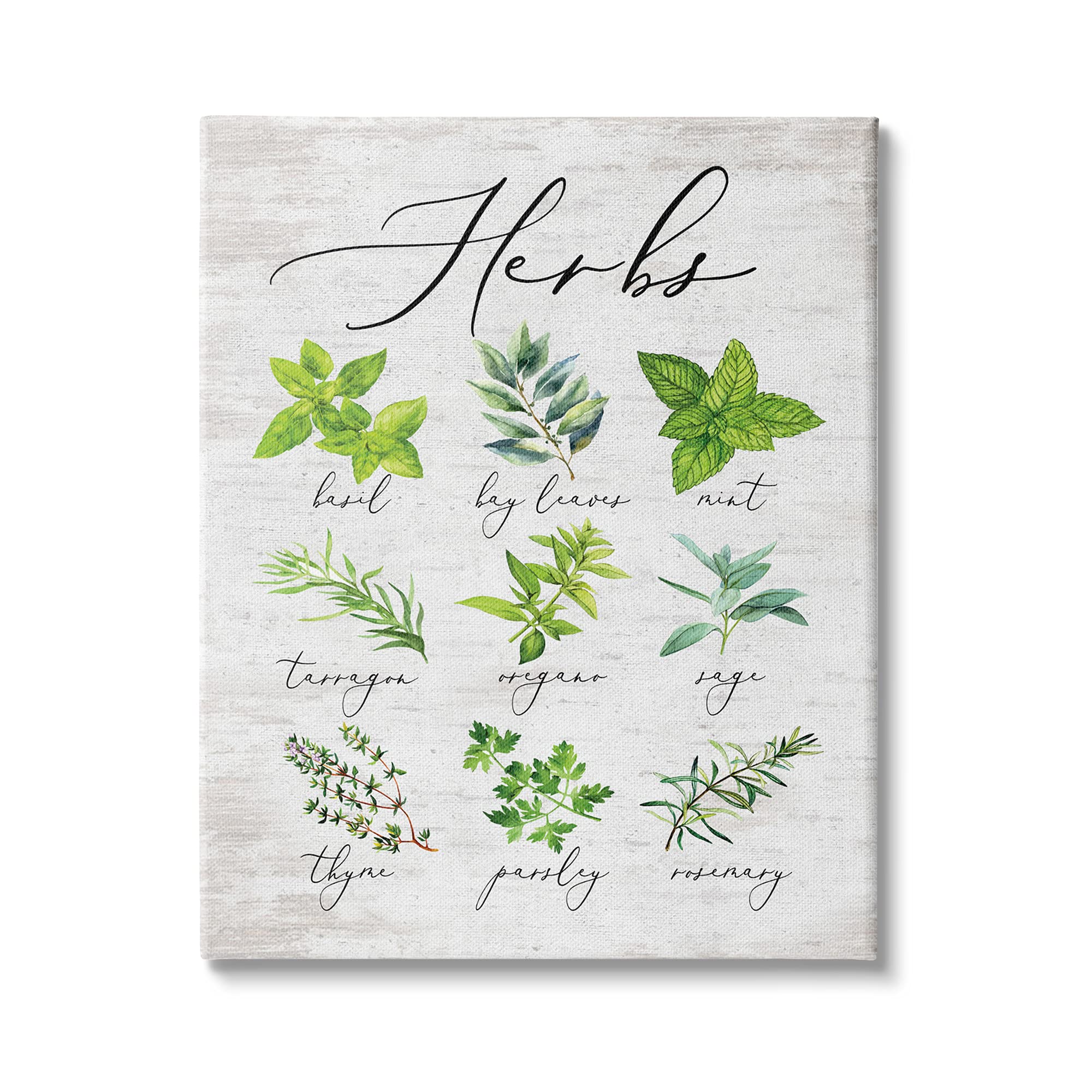 Stupell Industries Kitchen Herb Reference Chart - Garden Fresh Home Seasoning Wall Art - 16 x 20 Green Canvas - Designed by Lettered and Lined | Perfect for Kitchen Decor, Cooking Reference & Herb Garden Inspiration