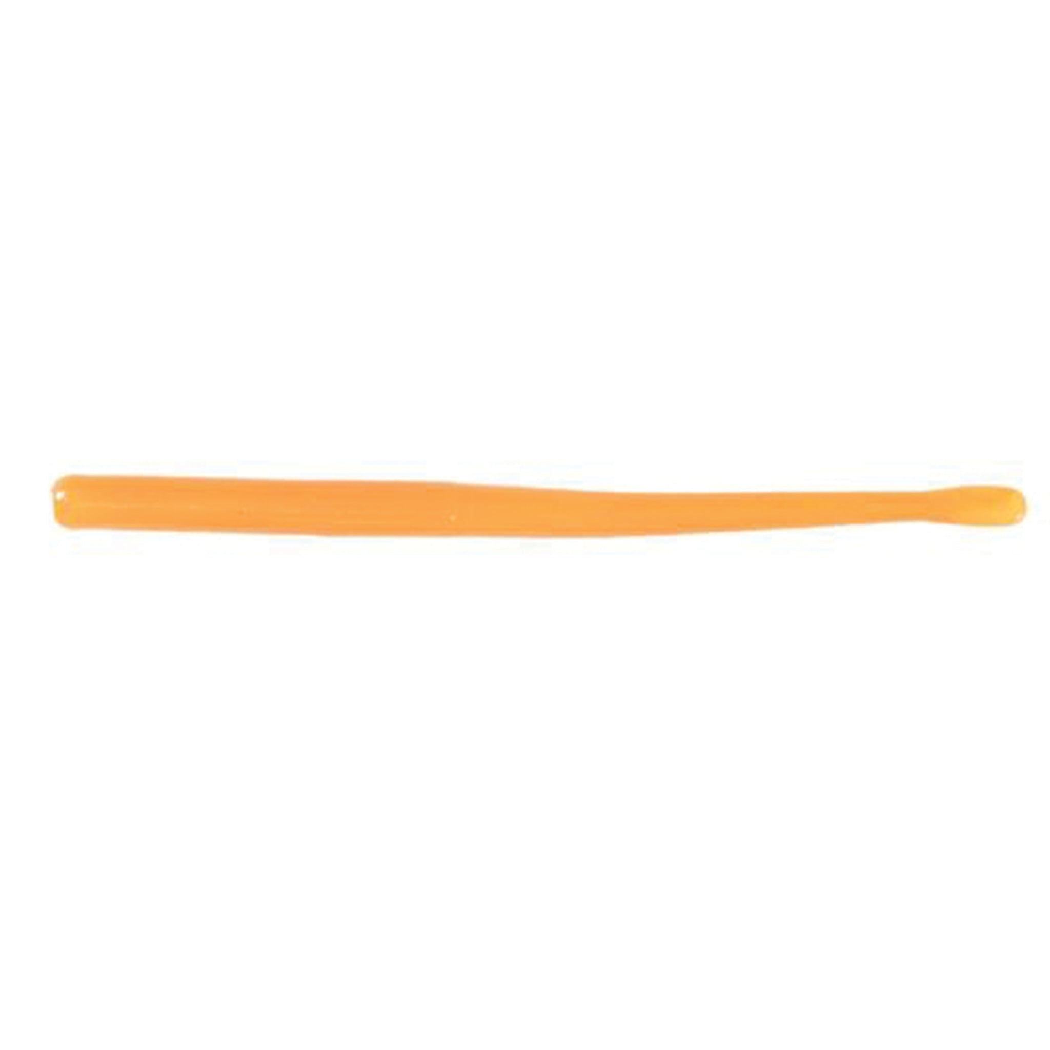 Palolo Worm
