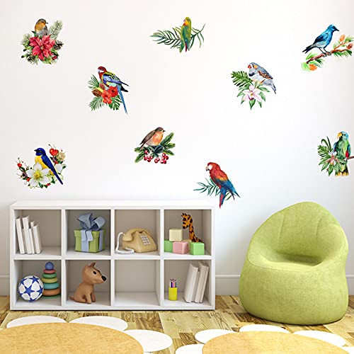 Birds