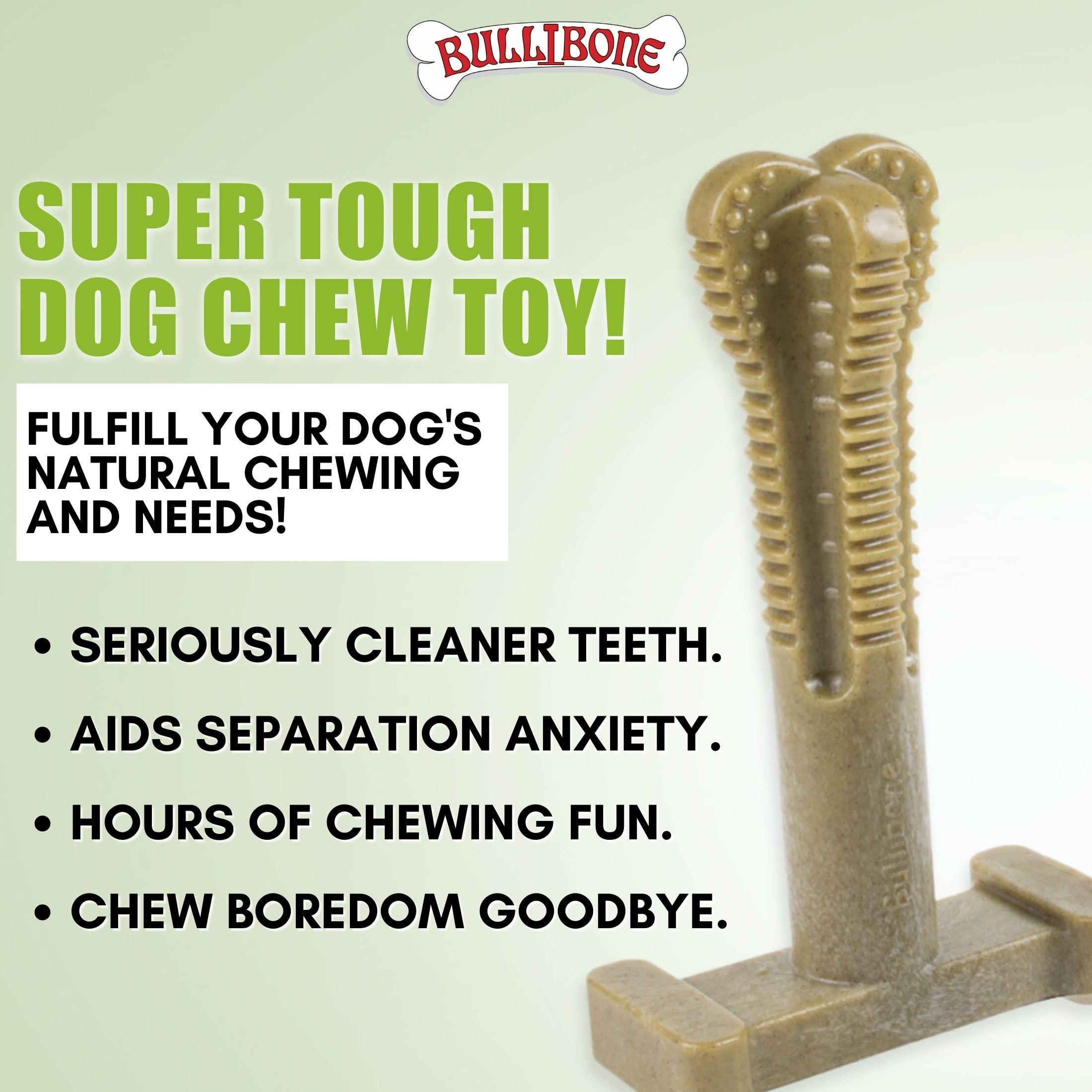 Bullibone SuperBrush: Long-Lasting Nylon Dog Toothbrush Chew Toy for Dental Health & Oral Care - Teeth Cleaning Stick with Super Greens for Puppies & Adult Dogs - Perfect for Daily Dental Hygiene & Playtime