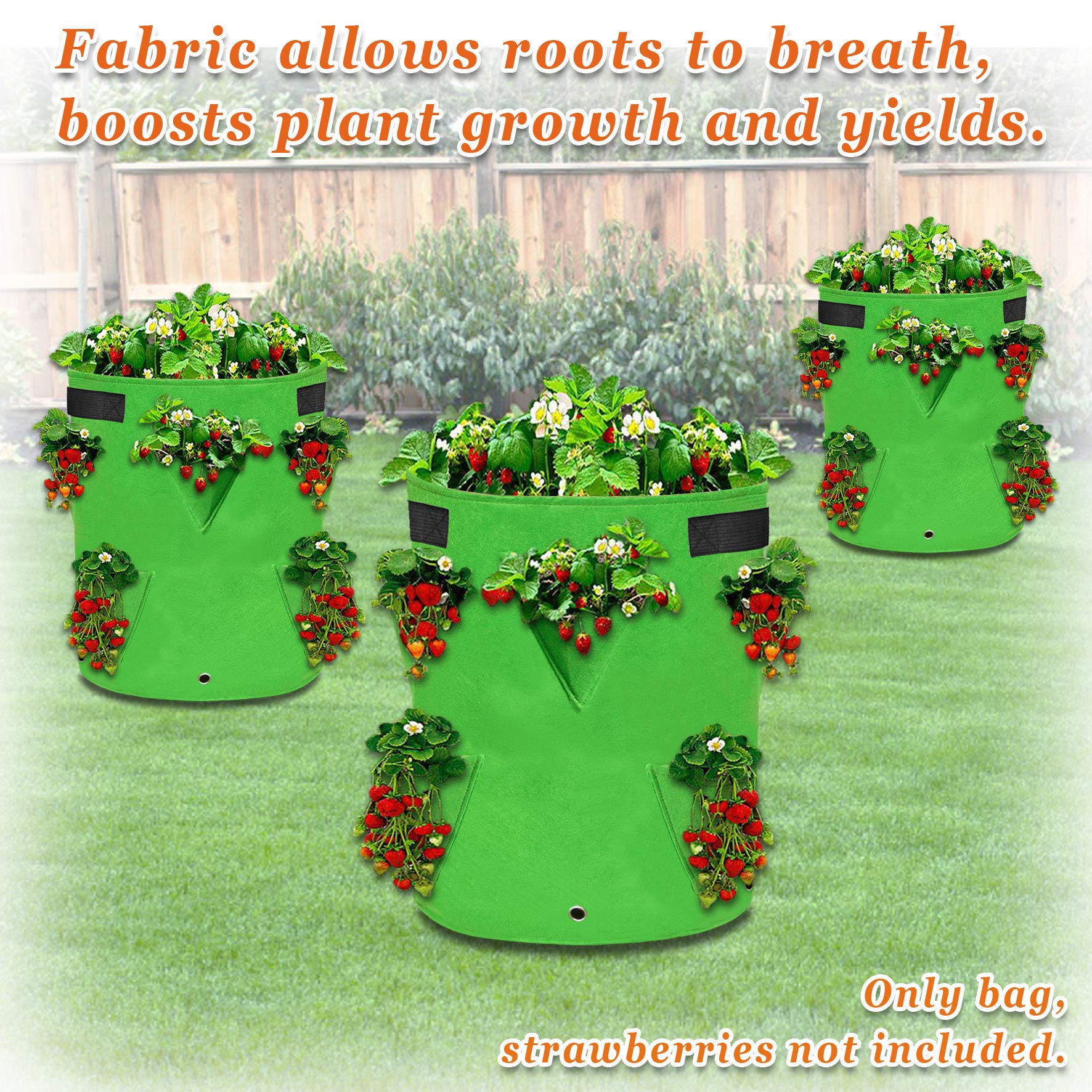 11 Gallon Nonwoven Fabric Grow Bags - Breathable Plant Pots for Strawberries, Tomatoes, Potatoes & Vegetables (2 Pack) | Ideal for Indoor/Outdoor Gardening, Raised Beds & Container Planting