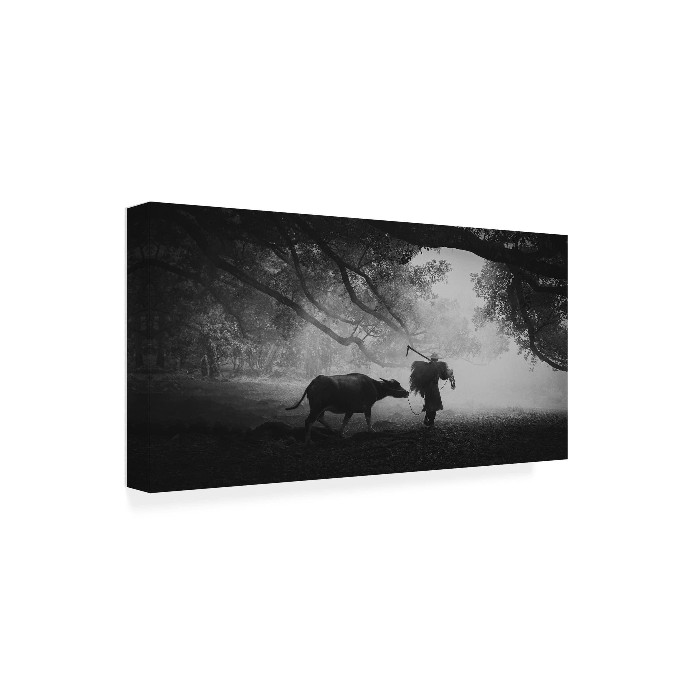 Ahmed Abdulazim 'Synergy' Canvas Wall Art Print - Modern Abstract Painting for Living Room, Bedroom & Office Decor | Trademark Fine Art Collection