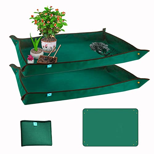 Blackish Green