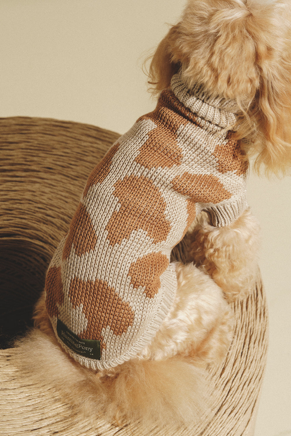 Dog Cardigan - Soft Pony Cotton Knit Sweater for Small Dogs - Cozy Winter Outfit for Indoor & Outdoor Use