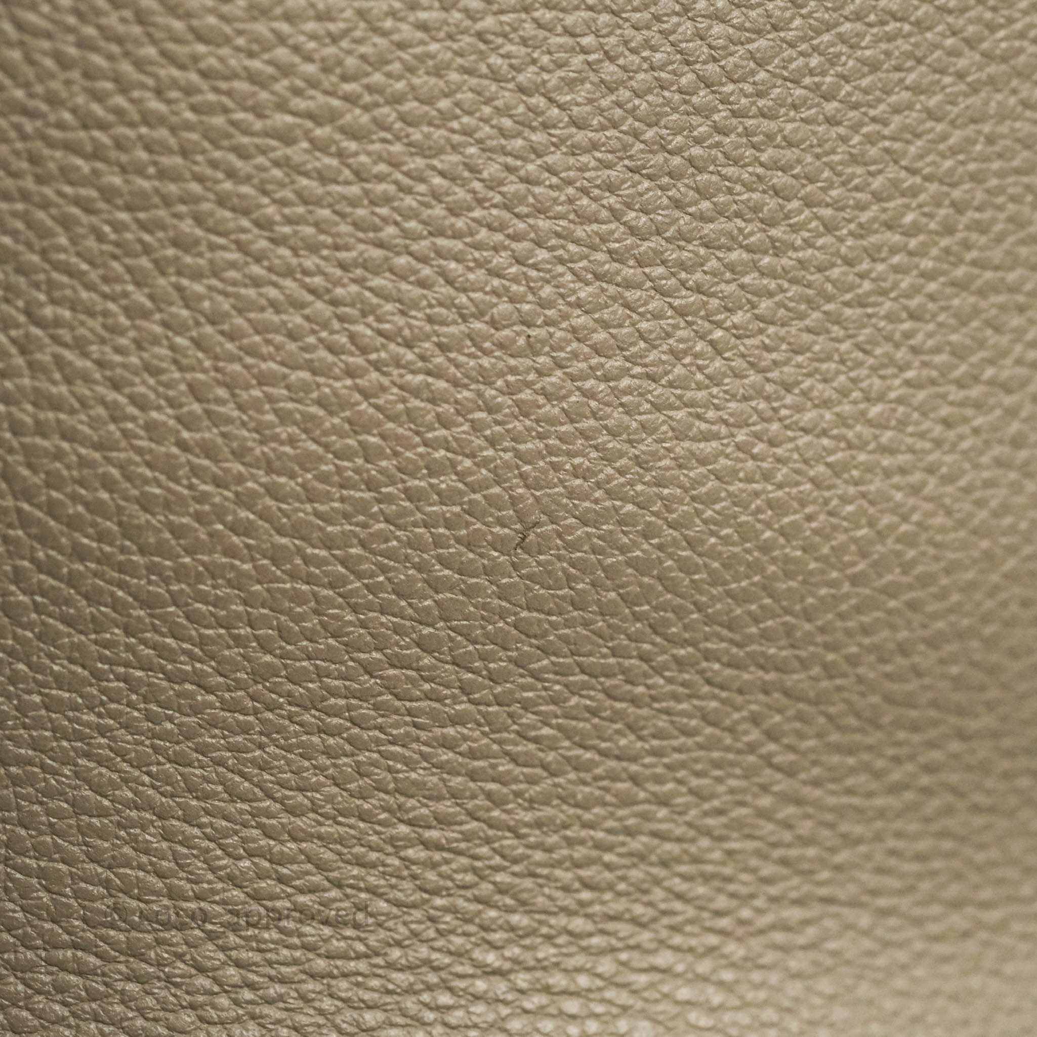 Celine Bucket 16 Handbag in Soft Grained Calfskin with Pebble Gold Hardware - Perfect for Everyday Use, Work, and Travel