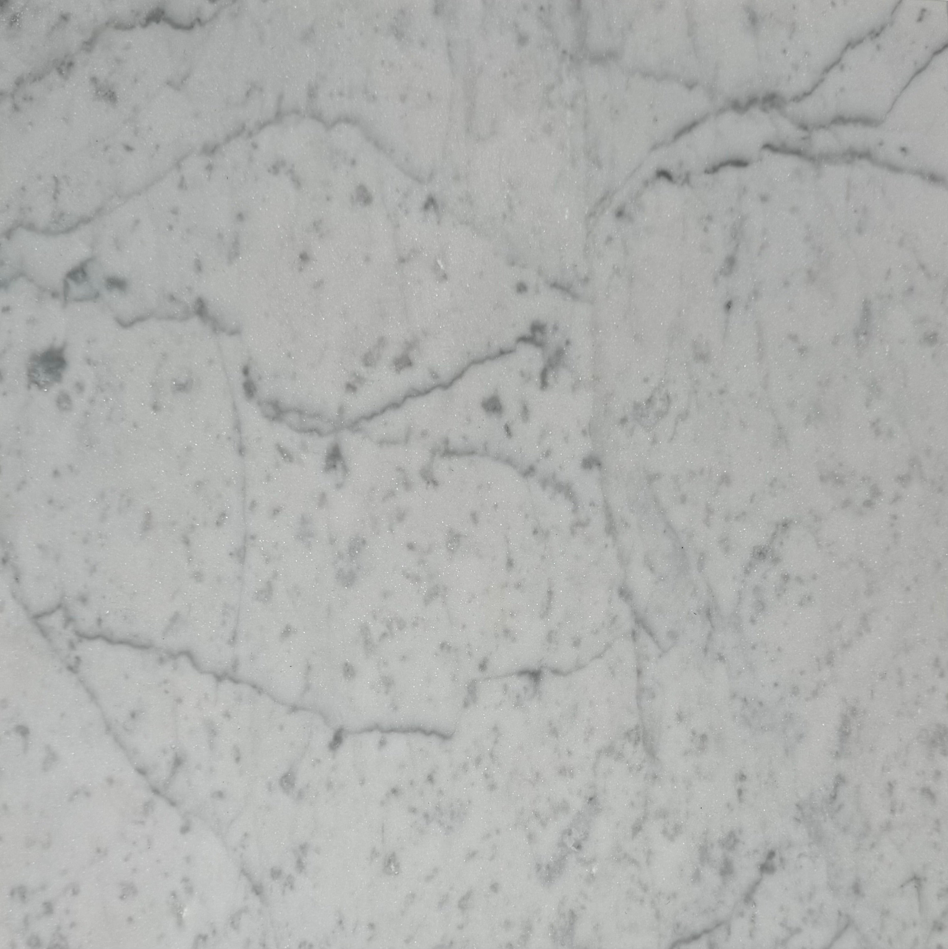 Premium Carrara White Gioia Marble Tiles 12x12 Inch - Natural Stone Floor & Wall Tile for Bathroom, Kitchen, and Luxury Home Decor