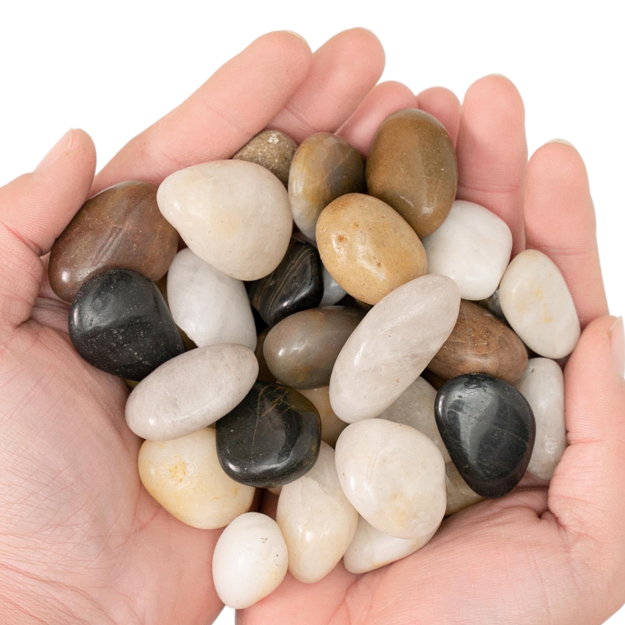 5lb Natural Polished River Pebbles - 1/2 to 1 Inch Decorative Stones for Landscaping, Garden Paving, Vase Fillers, Walkways & DIY Crafts | Mixed Color Smooth Rocks for Outdoor & Indoor Decor