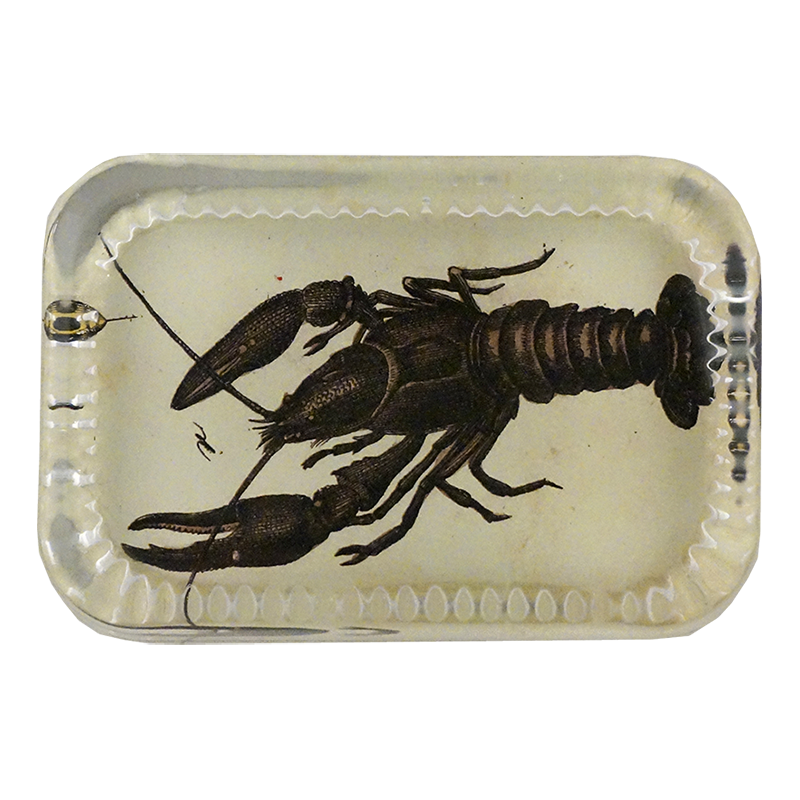 Premium Black Lobster PNG Image - High-Quality Digital Download for Seafood Menus, Restaurant Logos & Marine-Themed Designs
