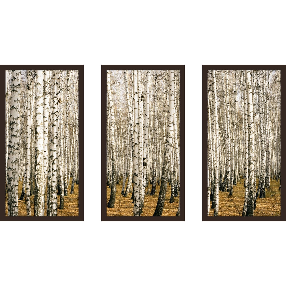 Birch Trees Wall Art Set of 3 - Modern Framed Plexiglass Prints for Living Room, Bedroom & Office Decor | Nature-Inspired Home Decorations