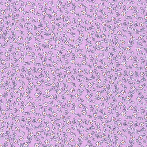Little Blossoms RK21888220 Pansy Flowers - Perfect for Home Garden Decor, Wedding Bouquets, and DIY Floral Arrangements