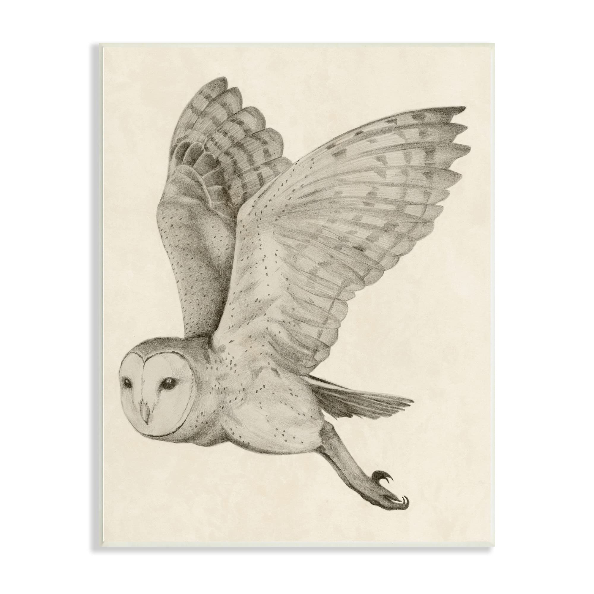 Stupell Industries Flying Barn Owl Wings - Detailed Monochrome Drawing by Grace Popp | Elegant Wildlife Wall Art for Home & Office Decor