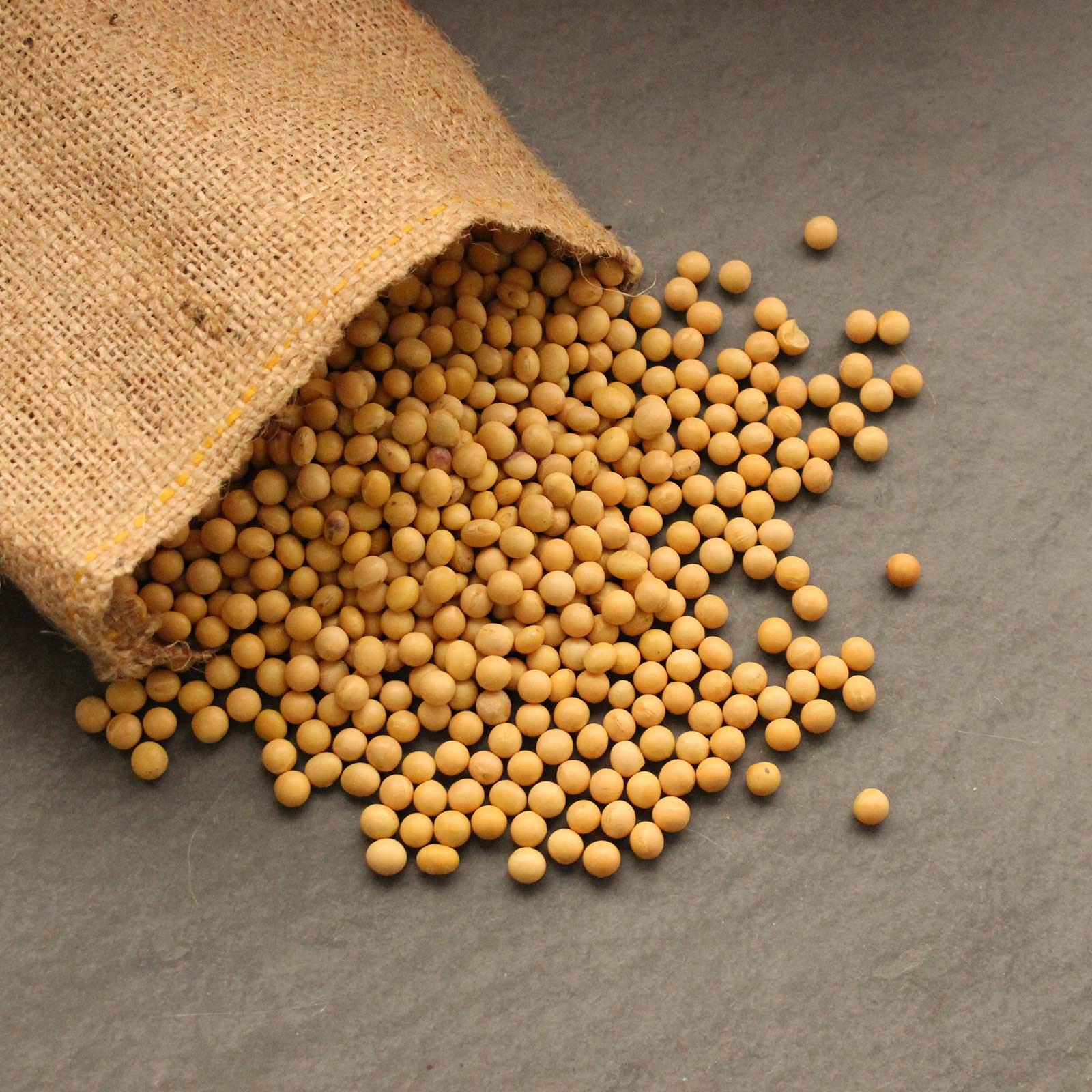 Organic Tofu Making Kit - 5 Lbs Non-GMO Yellow Soybeans, DIY Tofu Press Mold with Step-by-Step Instructions | Perfect for Vegan Cooking, Homemade Soy Products & Japanese Cuisine