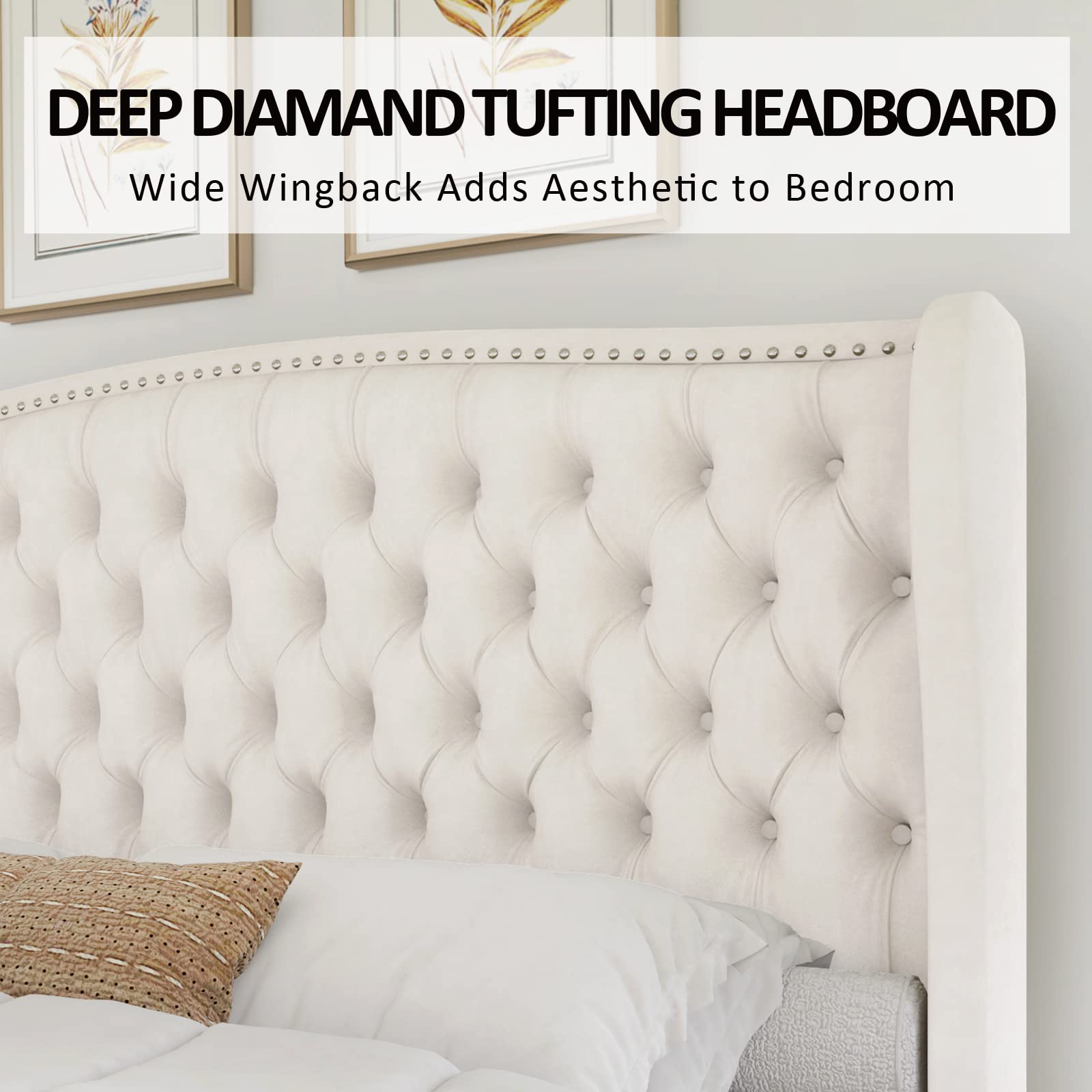 AMERLIFE Queen Size Velvet Upholstered Platform Bed Frame with Button Tufted Headboard & Nailhead Trim - No Box Spring Needed in Cream | Modern Bedroom Furniture for Master Suite, Guest Room & Apartment