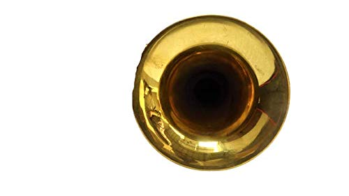 Premium Bb Cornet with Gold Finish - Professional Brass Instrument for Bands & Soloists - Includes Protective Case - Ideal for Performances, Practice & Music Education