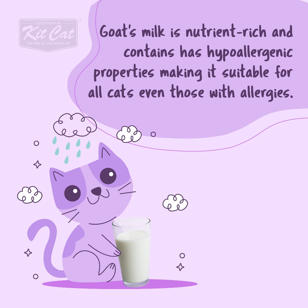 24-Pack Kit Cat Goat Milk Gourmet Wet Cat Food - 12 Delicious Flavors (70g Each) | Premium Nutrition for Adult & Senior Cats | Perfect for Picky Eaters & Sensitive Stomachs
