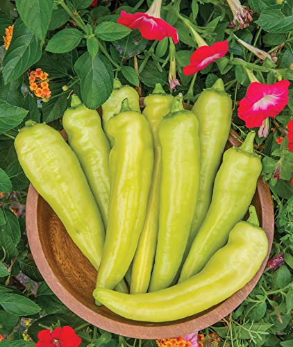 Blazing Banana