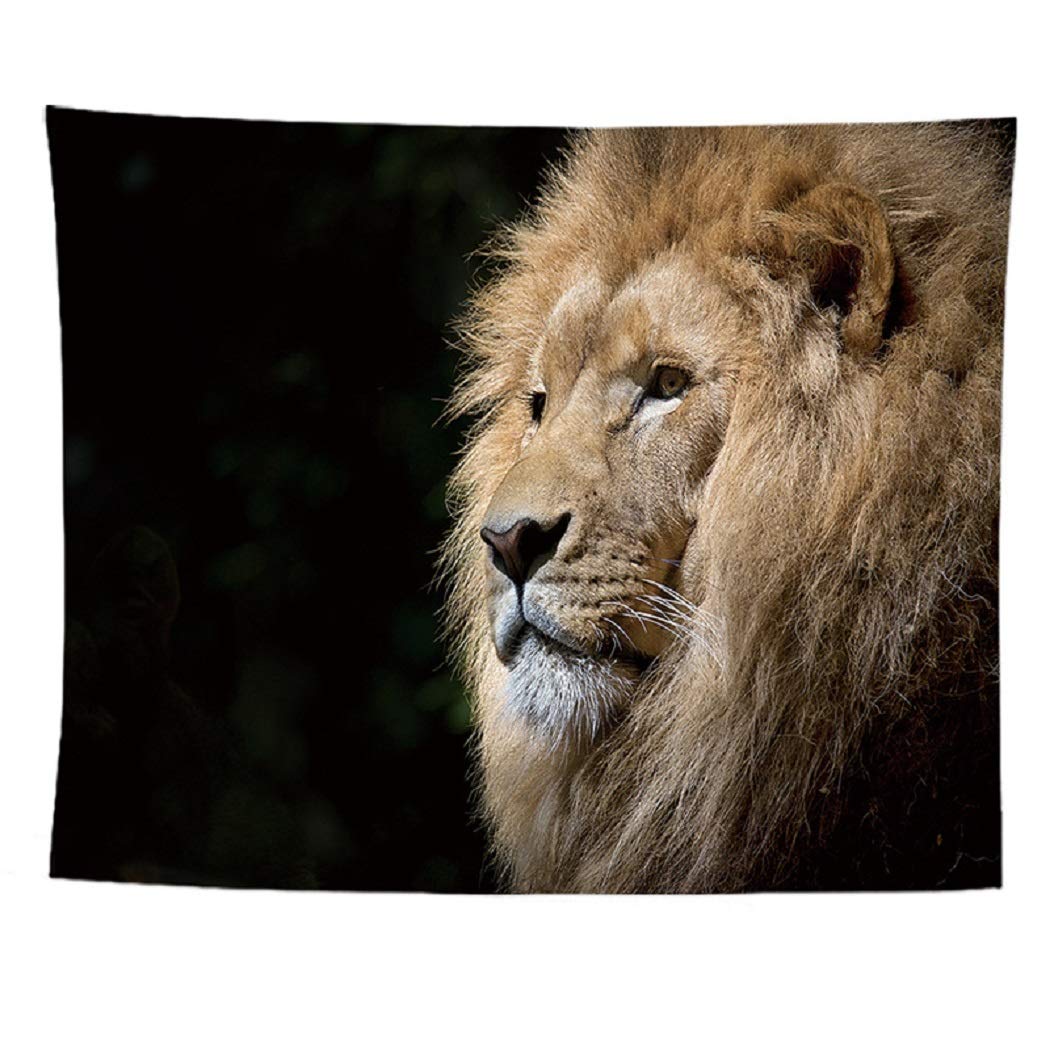 Animal Lion Tapestry Wall Hanging Decor - 73x95cm (28.7x37.4in) Bohemian Lion Print Fabric for Bedroom, Living Room, Dorm - Perfect for Home Decor, Hippie Style & Festival Backdrop