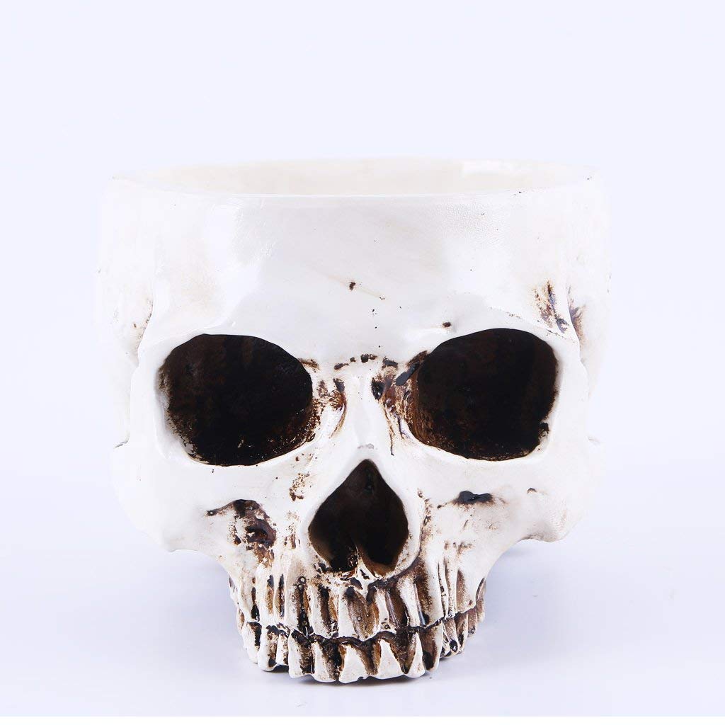 White Human Skull Shaped Flower Pot - Halloween Skeleton Planter Bowl for Tabletop Decor, Succulents & Home Garden